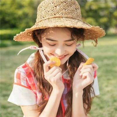 元气骑士华为渠道最新版下载